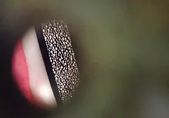 Przejść darmowe sex filmy z azjatkami