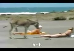 Mama kurwa sex na plaży za darmo dysk